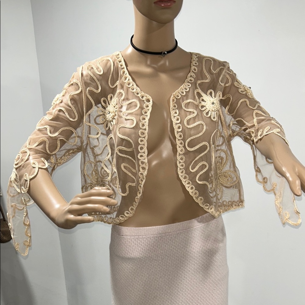 Elegant Sheer Embroidered Jacket